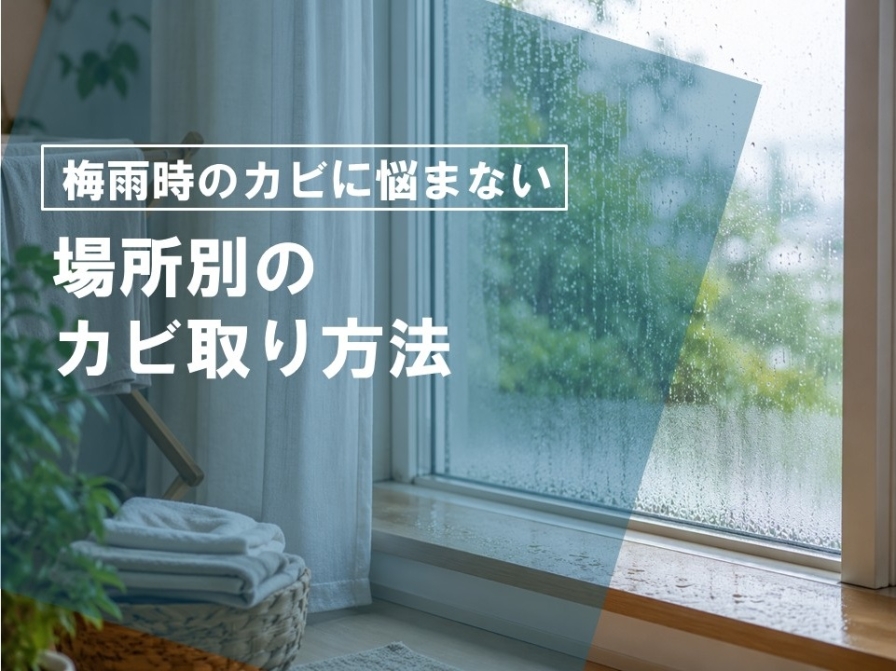 梅雨時のカビに悩まない　場所別のカビ取り方法