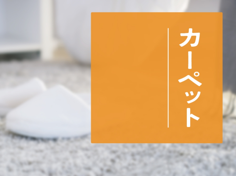 【住まいのお手入れ】カーペット