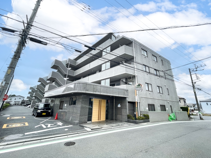 フォルテコート若葉