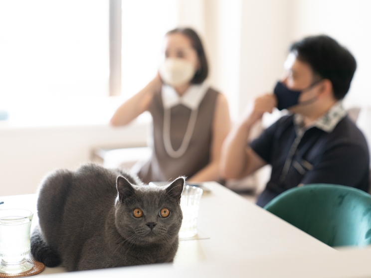 1番満足しているのは！？
